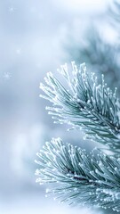 Frosted Pine Tree Branch with Snowflakes in Soft Blue and White Winter Background