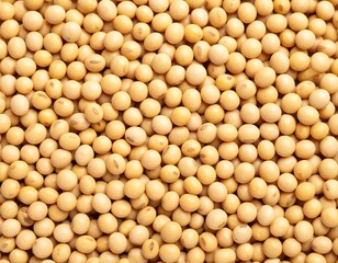 Close-up of soybean seeds