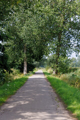 Quiet asphalt path flanked by lush green grass and tall trees, casting dappled shadows on the ground. A peaceful rural trail ideal for walking or cycling through nature in summer.