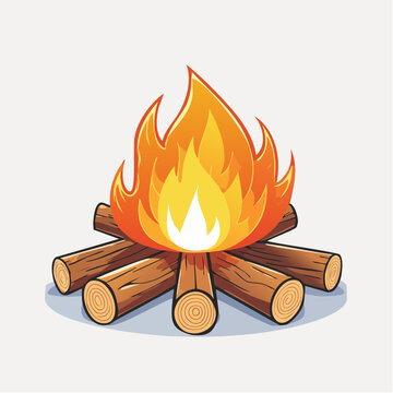 Joli feu de bois, arri&egrave;re plan blanc, feu de camp 