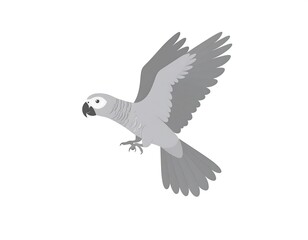 Grey parrot in flight