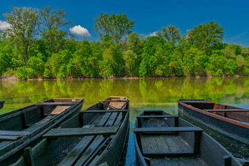 Obraz premium Tisza backwater of Kortvélyes
