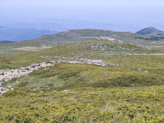 Obraz premium Panorama of Vitosha Mountain, Bulgaria