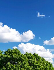 Obraz premium Clouds and trees against a vivid blue sky