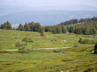 Panorama of Vitosha Mountain, Bulgaria