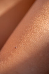 Close-up of natural human skin with visible pores, body hair and small imperfection in warm natural lighting