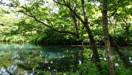 Obraz premium Lush forest reflecting on tranquil water