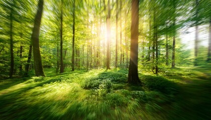 Obraz premium lush green forest with motion blur effect in summer sunlight