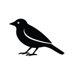 Simple black silhouette of a small bird standing on white background isolated