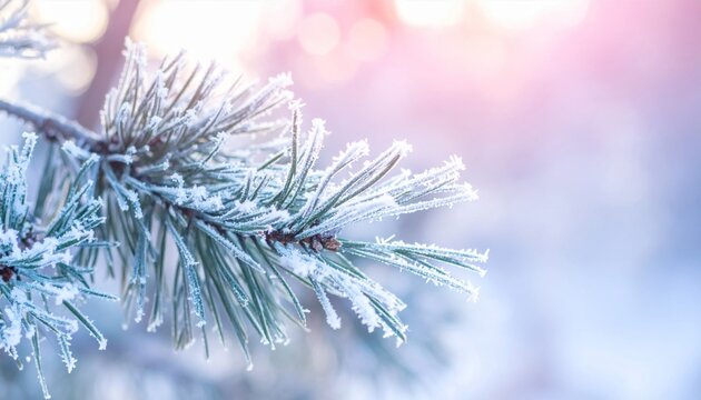 Frozen Pine Branch Covered with Frost and Snow on a Winter Day in Soft Light - Powered by Adobe