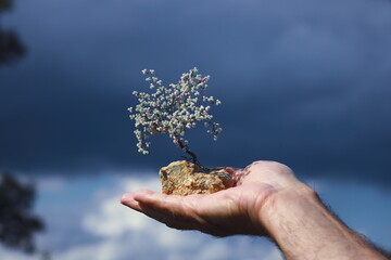 Hand holding a tiny blossoming tree on a rock against dramatic sky. Symbol of environmental care, sustainability and hope for the planet.