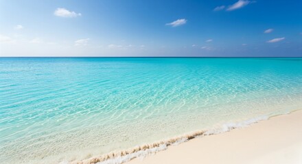 Fototapeta premium Tropical Beach and Turquoise Sea