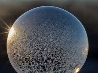 Sph&auml;rische Vision: Kristallkugel in blauer Kontrast &ndash; Innere Struktur als Verzweigung, friedliche Transparenz im diffusen Raum.
