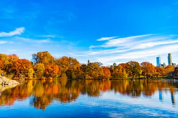 Gardinen Fallen Central park in autumn. Autumn landscape with pond. Fall nature landscape. Autumn nature in Central park. Seasonal fall landscape. Park autumn tree and pond in New York. Scenic fall. Amber leaves  © be free