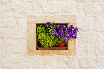 Flower decoration on a whitewashed brick wall.