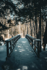 Bridge with snow winter time