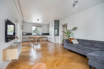 Modern living room featuring sleek furniture, natural light, and a cozy atmosphere in a contemporary home