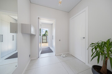 Entrance hallway with modern design, natural light and indoor plant in a contemporary home setting