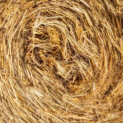 Close Up of Golden Hay Bale with Circular Pattern in Rural Sunlight Agriculture