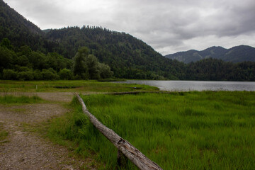 Calm mountain lake surrounded by green forested hills under a cloudy sky, with lush grass and weathered logs in the foreground.