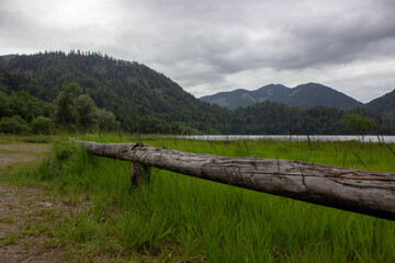 Calm mountain lake surrounded by green forested hills under a cloudy sky, with lush grass and weathered logs in the foreground.
