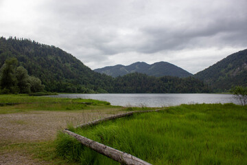 Calm mountain lake surrounded by green forested hills under a cloudy sky, with lush grass and weathered logs in the foreground.