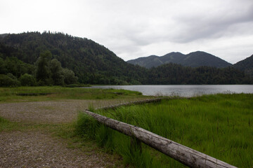 Calm mountain lake surrounded by green forested hills under a cloudy sky, with lush grass and weathered logs in the foreground.