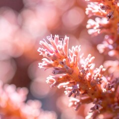 Delicate Pink Coral Close Up Displays Intricate Texture and Shallow Depth of Field in an Underwater Scene