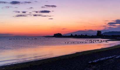 Beautiful Sunset at Iona Beach With Colors Reflecting on Calm Ocean Waters