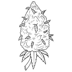 black and white flower