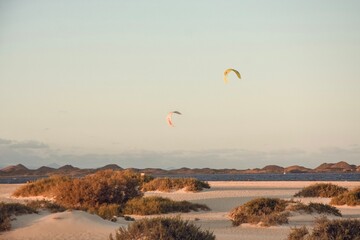 Kitesurfing Kites on a Sandy Beach in Fuerteventura with Volcanoes in the Background