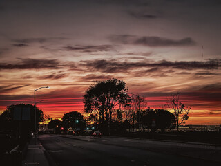 A dramatic sunset view over a quiet street in San Francisco, with silhouetted trees and colorful clouds filling the sky.

