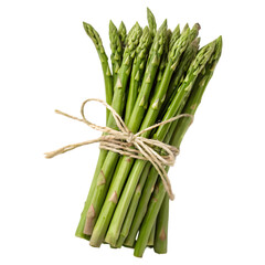 Fresh green asparagus spears tied with natural twine isolated on transparent background