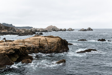 Fototapeta premium Foggy Winter Day Along Point Lobos Coastline in Monterey, CA