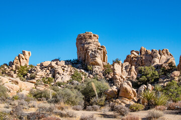 Fototapeta premium Large Rock Formation in Joshua Tree National Park, Southern California