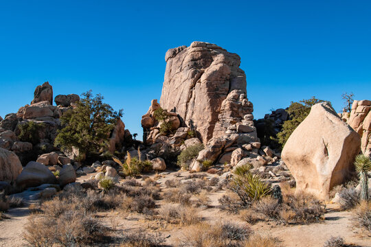 Rock Boulder of Desertscape Joshua Tree National Park in California