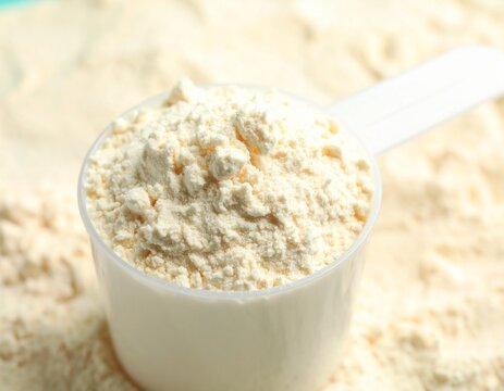 Scoop of Whey Protein Isolate Powder