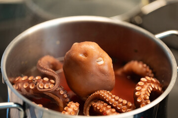 Octopus cooking in a pot with rich broth and tentacles submerged in a culinary setting