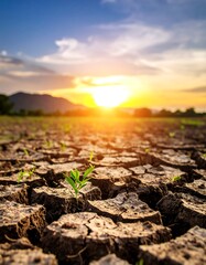 Cracked earth, new growth