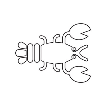 obster ocean line icon