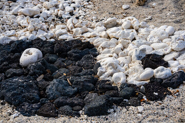 Pristine Coral Sand Beach with Lava Rock - Background