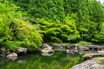 Obraz premium 越前大仏