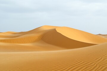 Golden desert dunes sculpted by wind create a serene, vast landscape under a pale sky