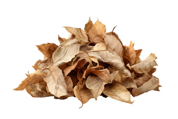 Pile of dry brown autumn leaves isolated on white background, symbol of fall season, decay, nature, and change, perfect for seasonal themes, backgrounds, and eco-friendly design concepts

