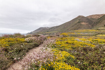 Garrapata Trail, California State Route 1, Monterey County, California. Santa Lucia Range