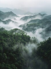 Misty mountain landscape showcases foggy valleys and densely wooded ridges in overcast light