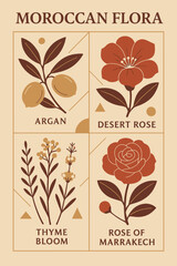 Stylized botanical illustration of Moroccan flora, featuring argan, desert rose, thyme bloom, and rose of Marrakech in a modern vintage design, perfect for educational, cultural, or decorative project