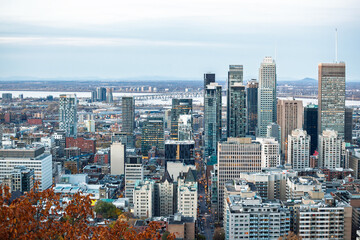 Fototapeta premium Wide panorama from Mount Royal overlooks downtown Montreal, Quebec, where glass and steel skyscrapers rise beside the St Lawrence River and the Jacques Cartier Bridge, illustrating Canada economy.