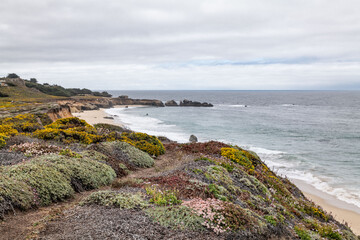 Garrapata Trail, California State Route 1, Monterey County, California. Santa Lucia Range. Marine terrace sand (Older Surficial Sediments)