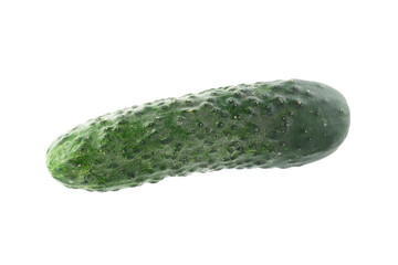 One fresh green cucumber isolated on white